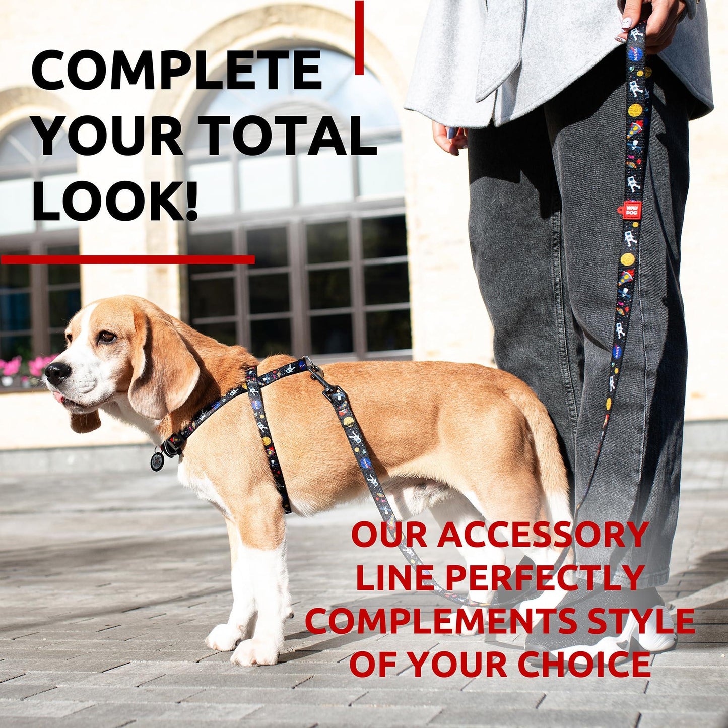 WAUDOG Nylon Dog Leash for Small Dogs and Medium Dogs 4 Ft Strong