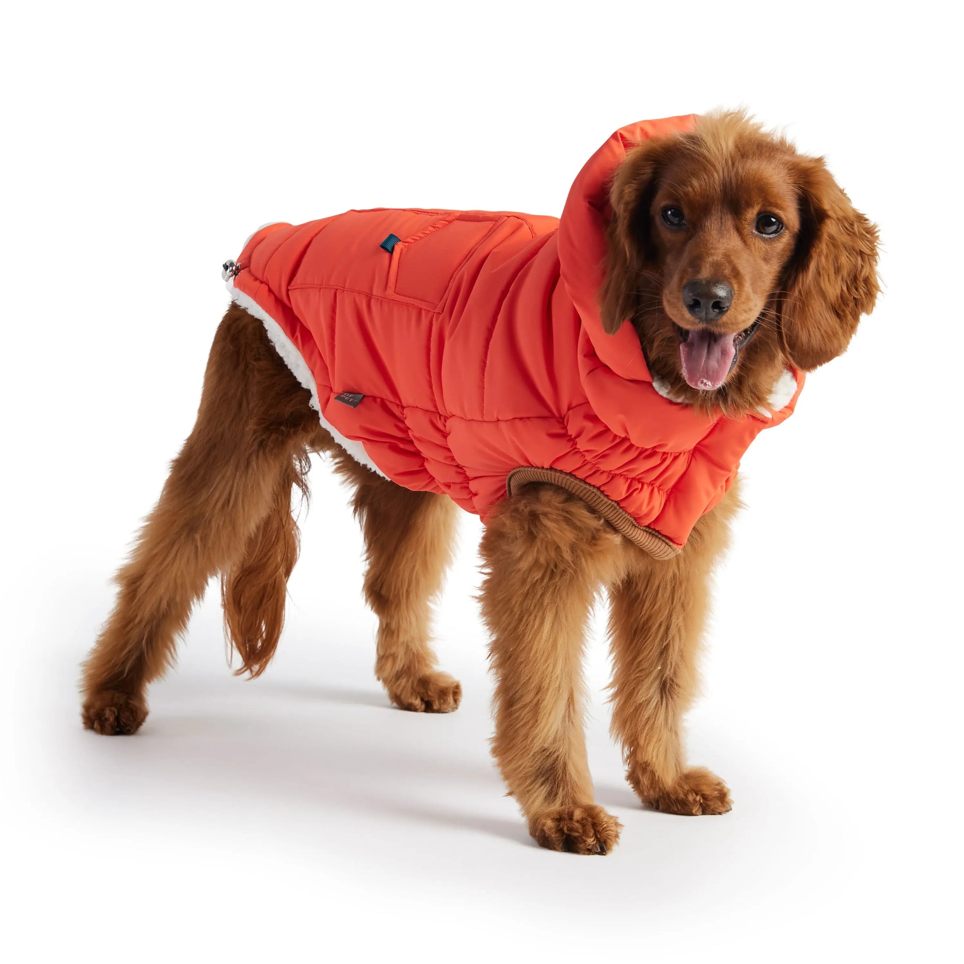 The Puff Parka - Orange - Image #1