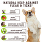 Flea and Tick Prevention Chewable for Dogs No Collars Needed