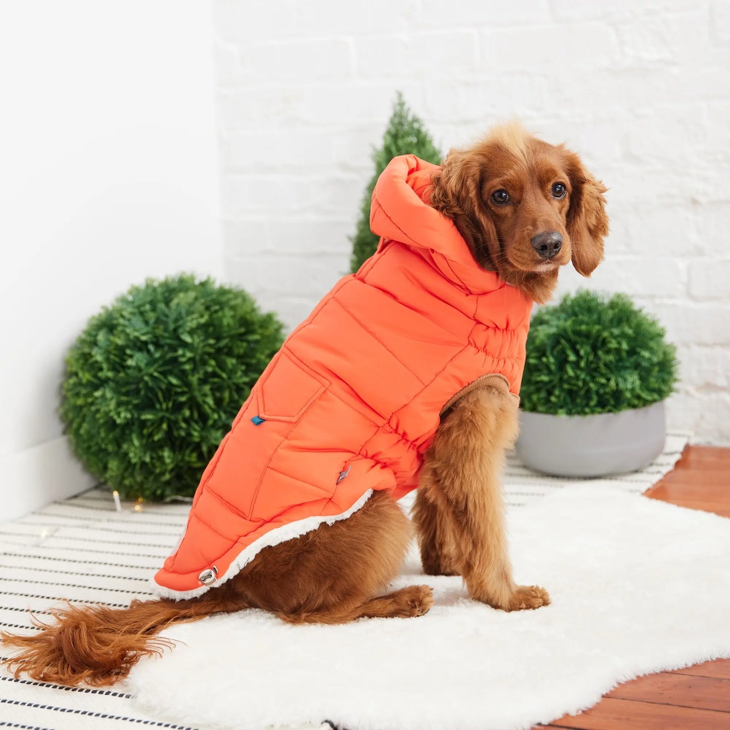 The Puff Parka - Orange - Image #3