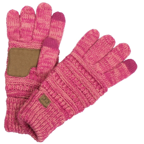 CC Brand Multi-Toned Touchscreen Tech Phone Gloves Winter Accessories