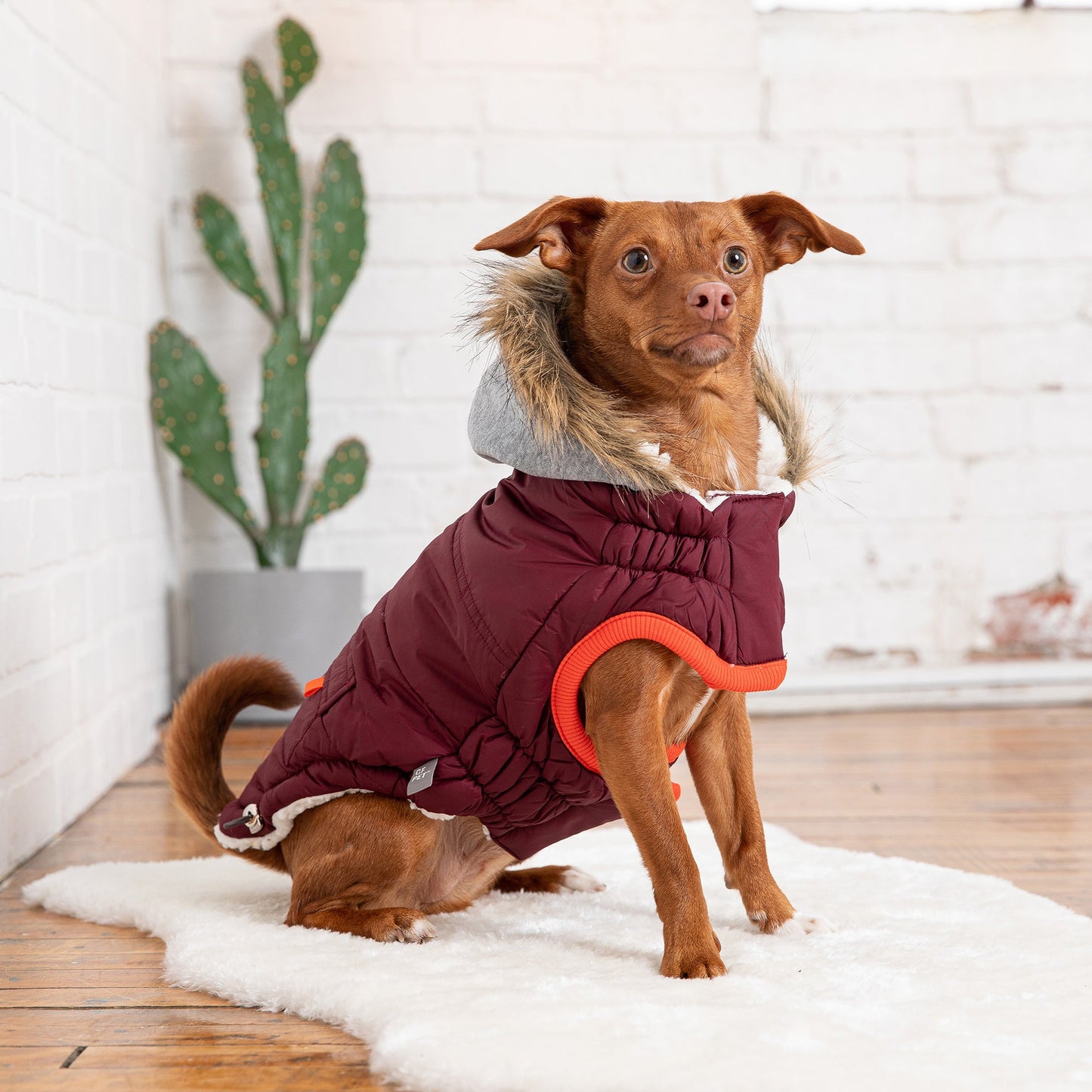 Winter Sailor Parka - Burgundy