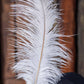 Ostrich Feather 45-50cm White