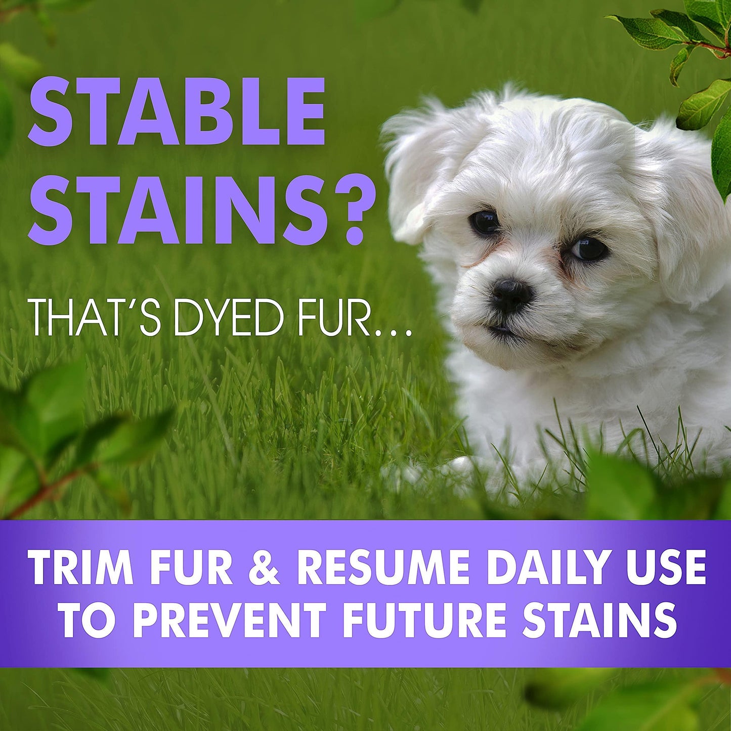 Arava   Tear Stain Remover   Eye Stain Cleaner for Dogs & Cats