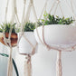 Macrame Plant Hanger