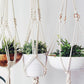 Macrame Plant Hanger