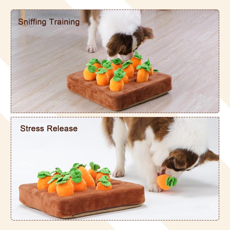 Dog Carrot Toy Mat - Executive-Skincare