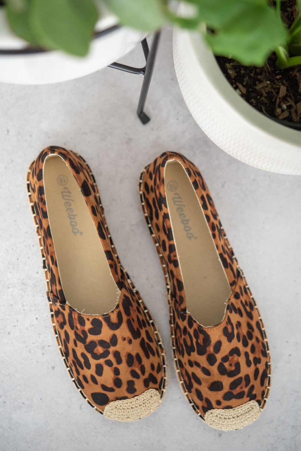 Leopard Espadrille Shoes - Executive-Skincare