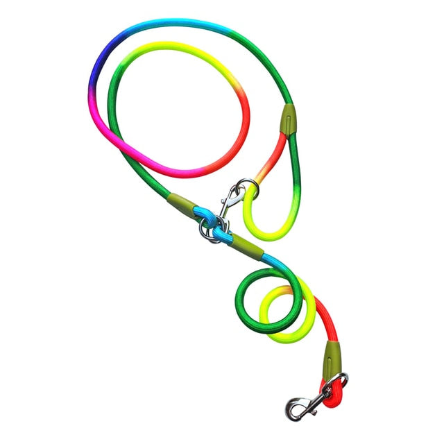 Reflective Nylon Dog Leashes - Executive-Skincare