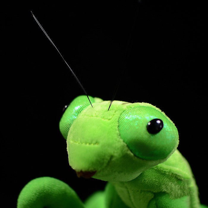 Lifelike Mantis Plush Toys Stuffed Animals Toy For Kids - Executive-Skincare