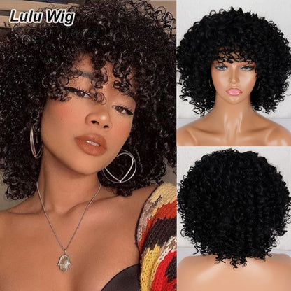 Afro Kinky Curly Wig - Executive-Skincare