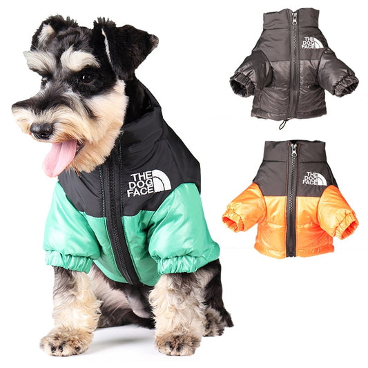 Windproof Reflective Dog Jacket - Executive-Skincare