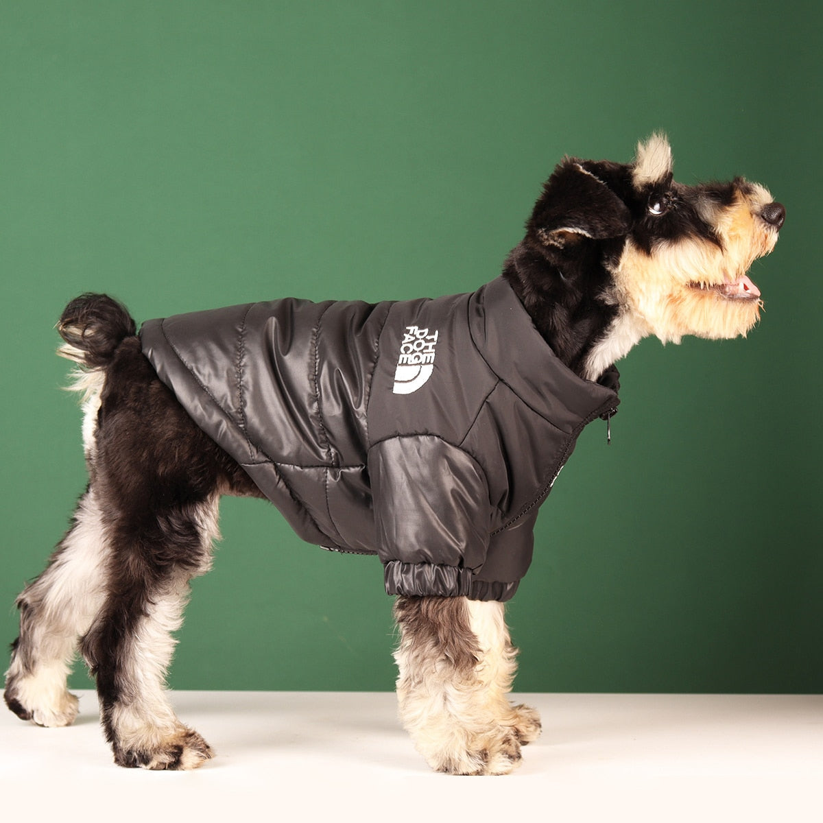 Windproof Reflective Dog Jacket - Executive-Skincare