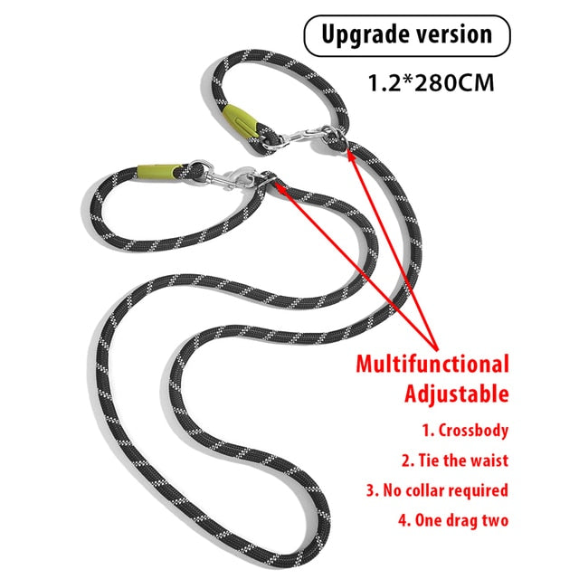 Reflective Nylon Dog Leashes - Executive-Skincare