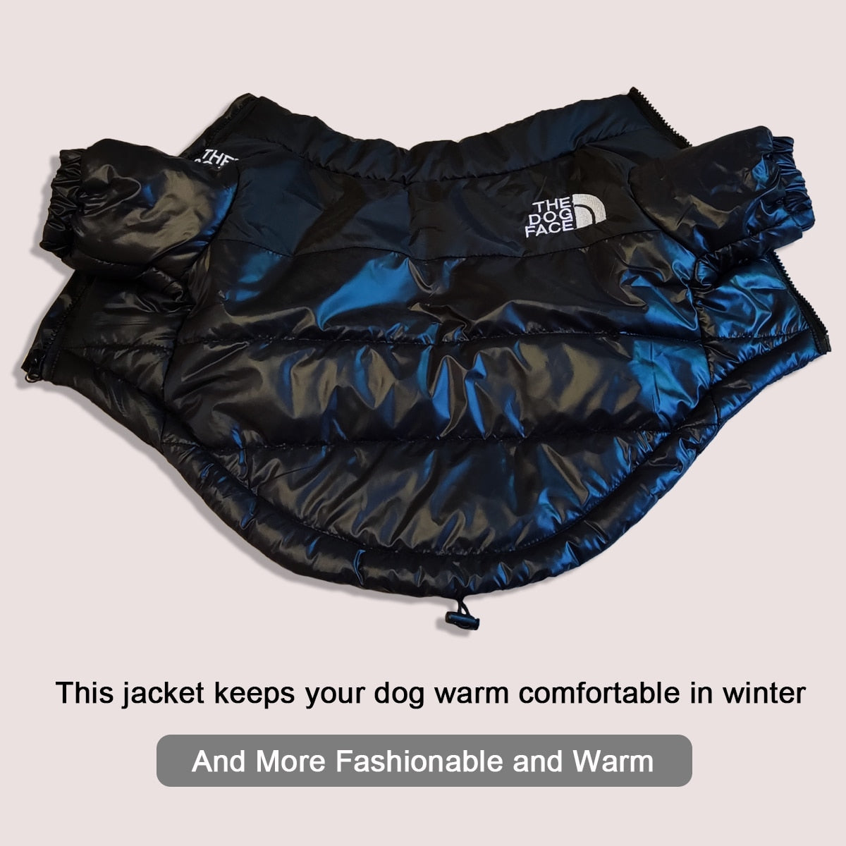 Windproof Reflective Dog Jacket - Executive-Skincare