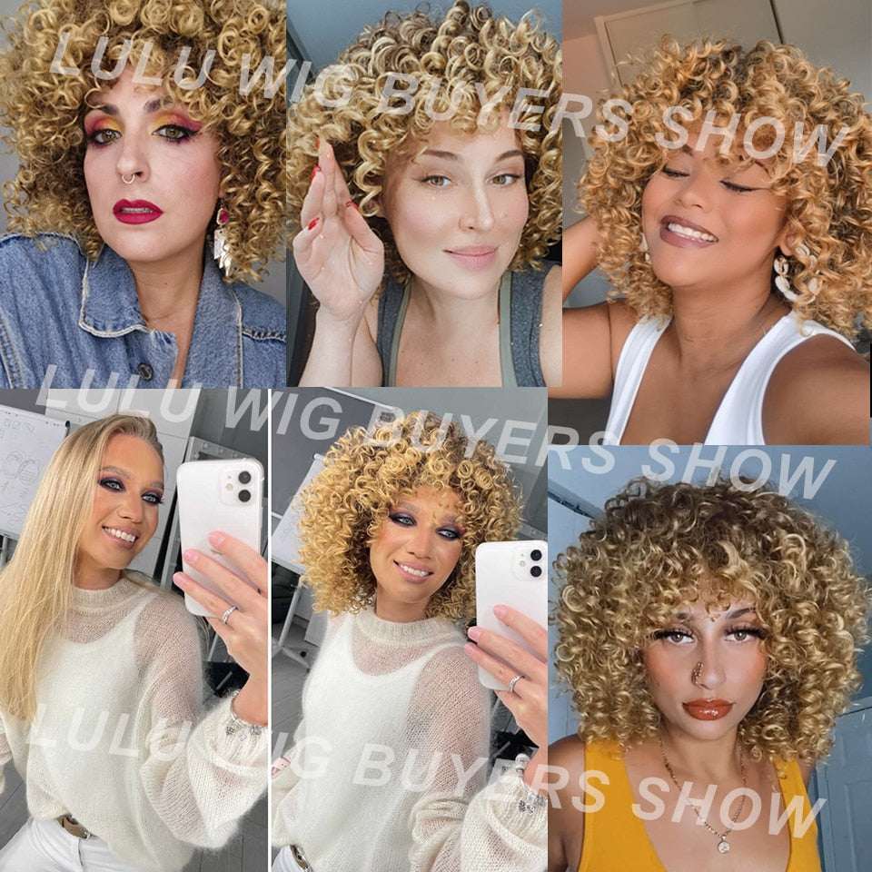 Afro Kinky Curly Wig - Executive-Skincare