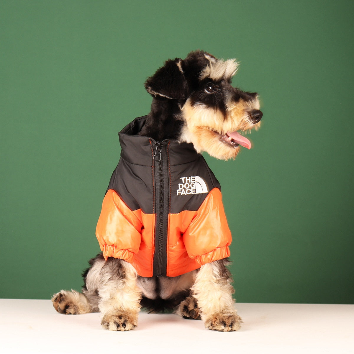 Windproof Reflective Dog Jacket - Executive-Skincare