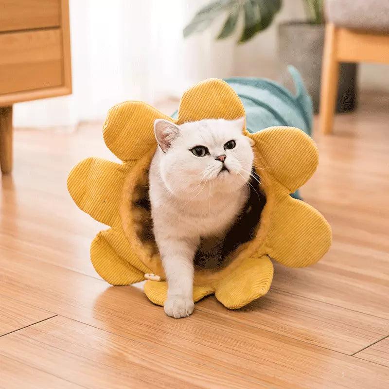 Creative Fruit Funny Pet Cat Tunnel Toys - Executive-Skincare