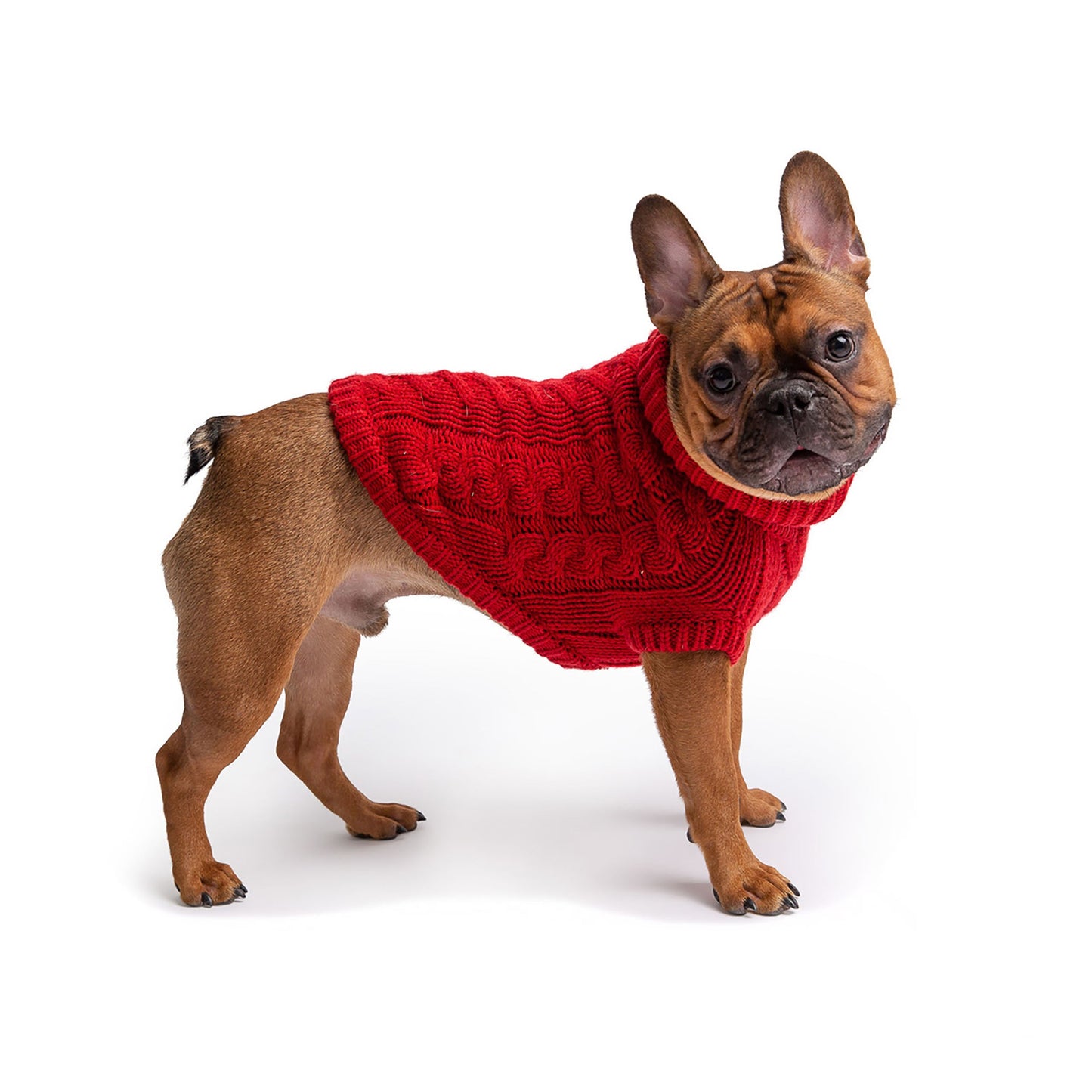 Chalet Dog Sweater - Red - Executive-Skincare