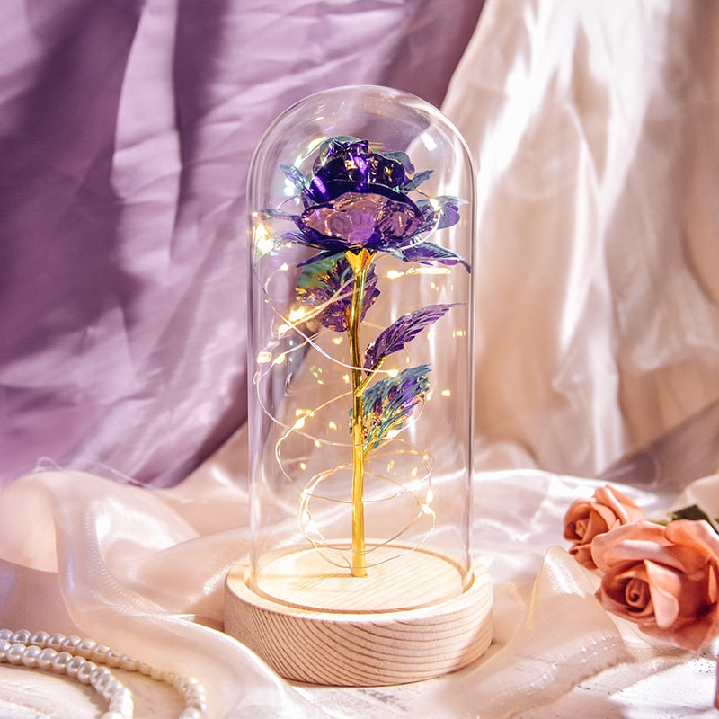 Christmas Gift Beauty and The Beast Preserved Roses In Glass Galaxy Rose Flower LED Light Artificial Flower Gift for Women Girls - Executive-Skincare