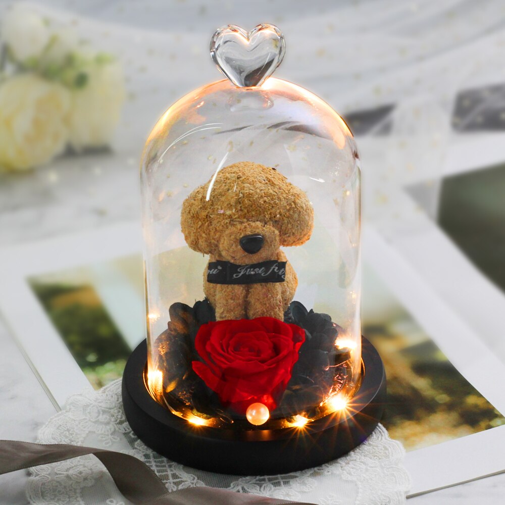 The Beautiful and the Beast Teddy Bear Rose Decor Natural Dried Flowers In Glass Dome LED Mother&#39;s Valentine&#39;s Day Wedding Gift - Executive-Skincare