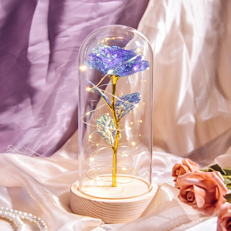 Christmas Gift Beauty and The Beast Preserved Roses In Glass Galaxy Rose Flower LED Light Artificial Flower Gift for Women Girls - Executive-Skincare