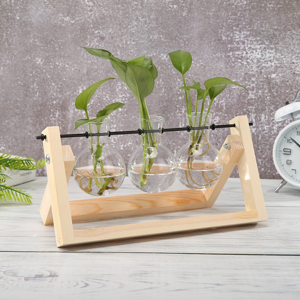 Glass and Wood Vase Planter Terrarium Table Desktop Hydroponics Plant Bonsai Flower Pot Hanging Pots with Wooden Tray Home Decor - Executive-Skincare