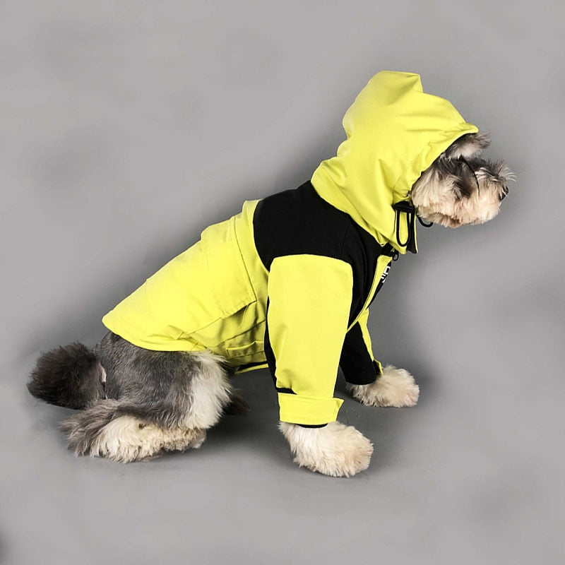 Schnauzer Winter Coat for Poodle Chihuahua Detachable Jacket for Bichon Frise PC1163 - Executive-Skincare