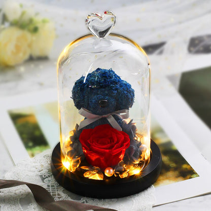 The Beautiful and the Beast Teddy Bear Rose Decor Natural Dried Flowers In Glass Dome LED Mother&#39;s Valentine&#39;s Day Wedding Gift - Executive-Skincare