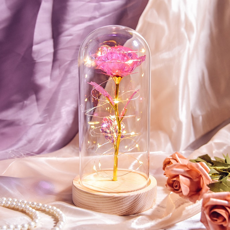 Christmas Gift Beauty and The Beast Preserved Roses In Glass Galaxy Rose Flower LED Light Artificial Flower Gift for Women Girls - Executive-Skincare