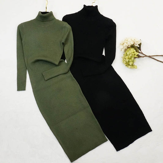 New Autumn Winter Women Knitted Dress Turtleneck Sweater Dresses Lady Slim Bodycon Long Sleeve Bottoming Dress Vestidos PP003 - Executive-Skincare