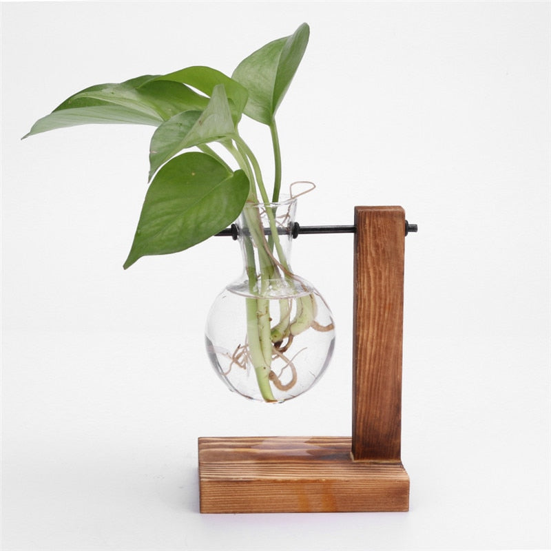 Glass and Wood Vase Planter Terrarium Table Desktop Hydroponics Plant Bonsai Flower Pot Hanging Pots with Wooden Tray Home Decor - Executive-Skincare