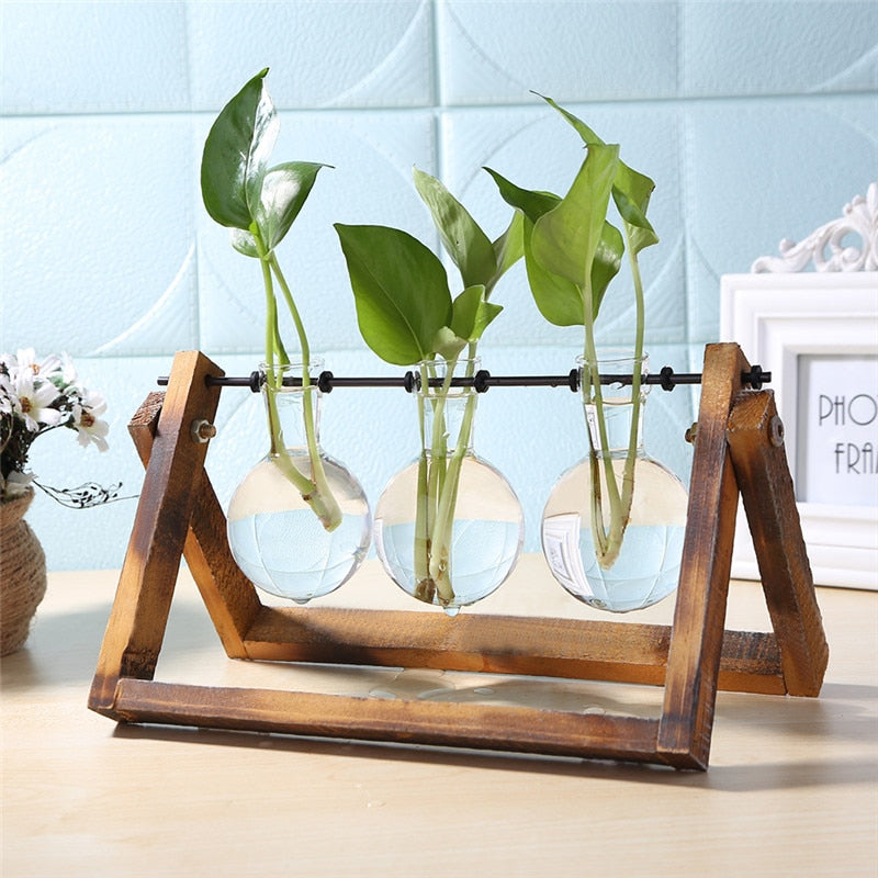 Glass and Wood Vase Planter Terrarium Table Desktop Hydroponics Plant Bonsai Flower Pot Hanging Pots with Wooden Tray Home Decor - Executive-Skincare