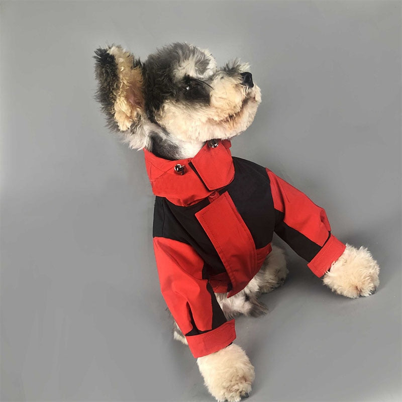 Schnauzer Winter Coat for Poodle Chihuahua Detachable Jacket for Bichon Frise PC1163 - Executive-Skincare