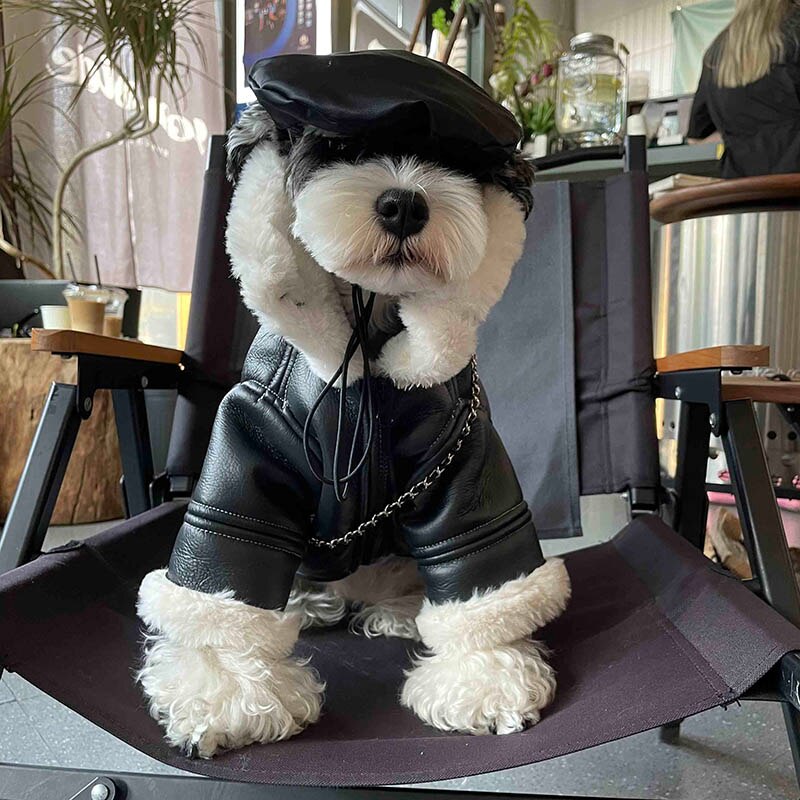 Winter Pet Dog Clothes Luxurious Dogs Coat Jacket Fashion Leather Jacket Fleece Warm Clothing For Small Dog Yorkshire Ropa Perro - Executive-Skincare