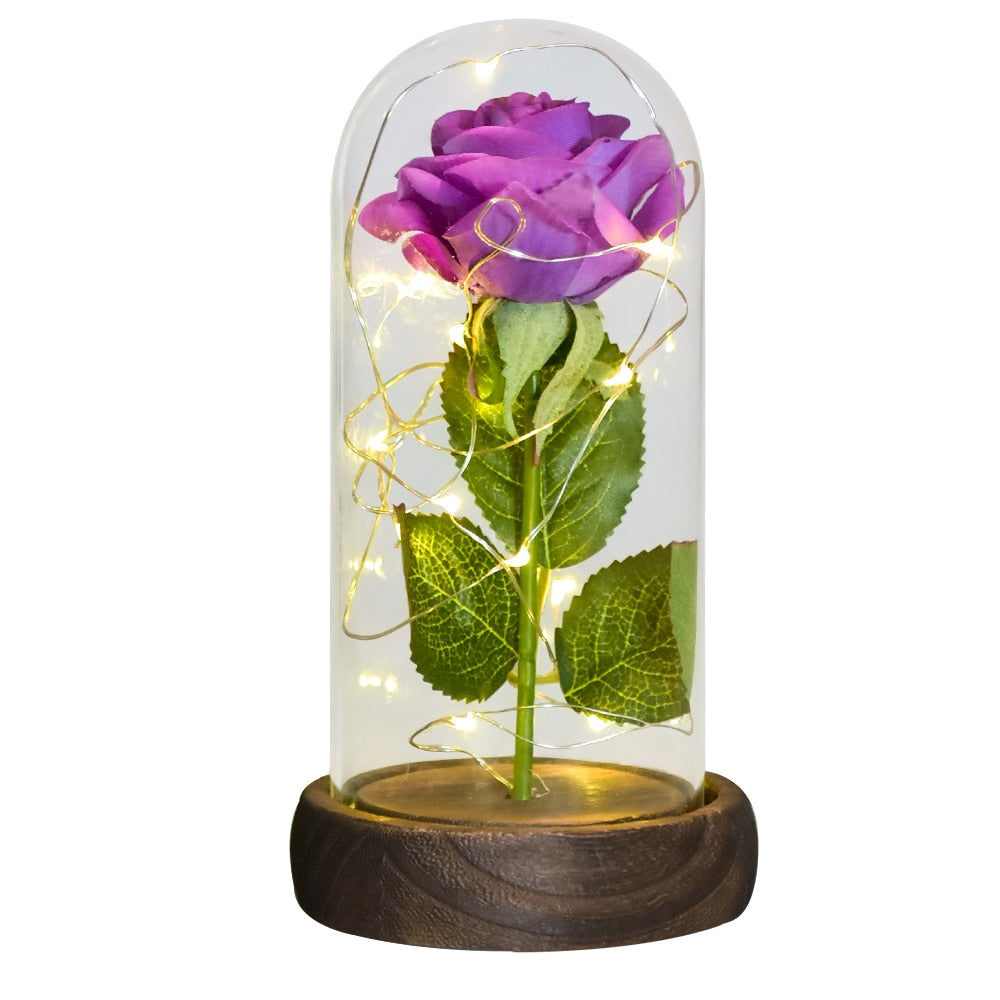 Christmas Gift Beauty and The Beast Preserved Roses In Glass Galaxy Rose Flower LED Light Artificial Flower Gift for Women Girls - Executive-Skincare