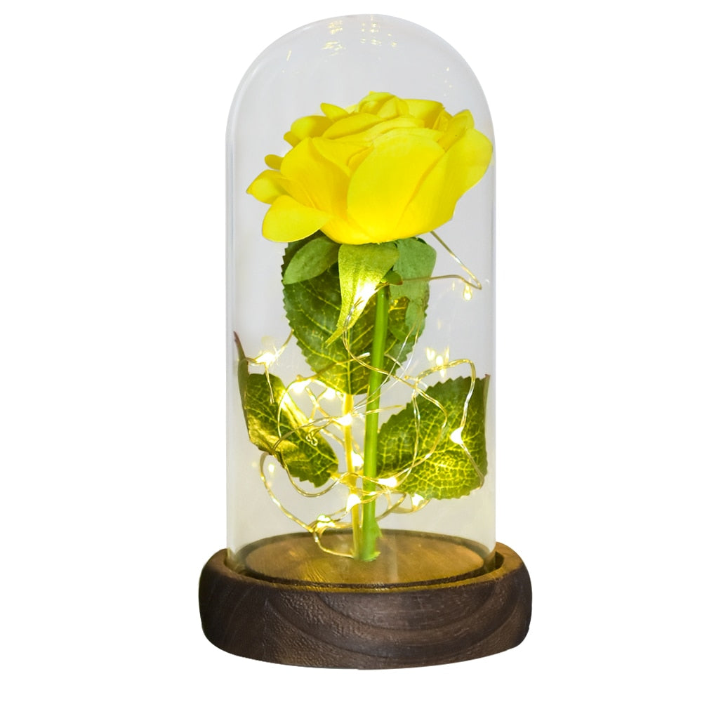 Christmas Gift Beauty and The Beast Preserved Roses In Glass Galaxy Rose Flower LED Light Artificial Flower Gift for Women Girls - Executive-Skincare