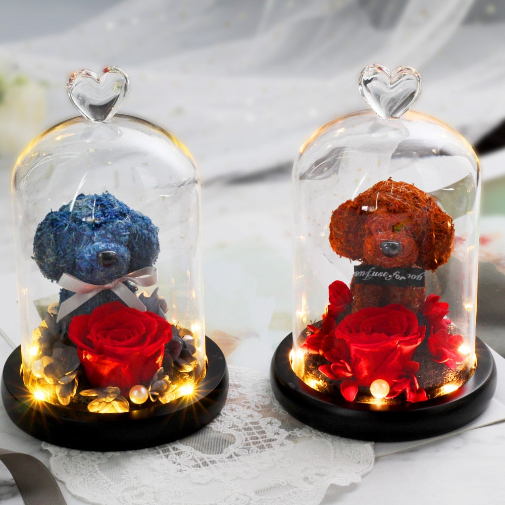 The Beautiful and the Beast Teddy Bear Rose Decor Natural Dried Flowers In Glass Dome LED Mother&#39;s Valentine&#39;s Day Wedding Gift - Executive-Skincare