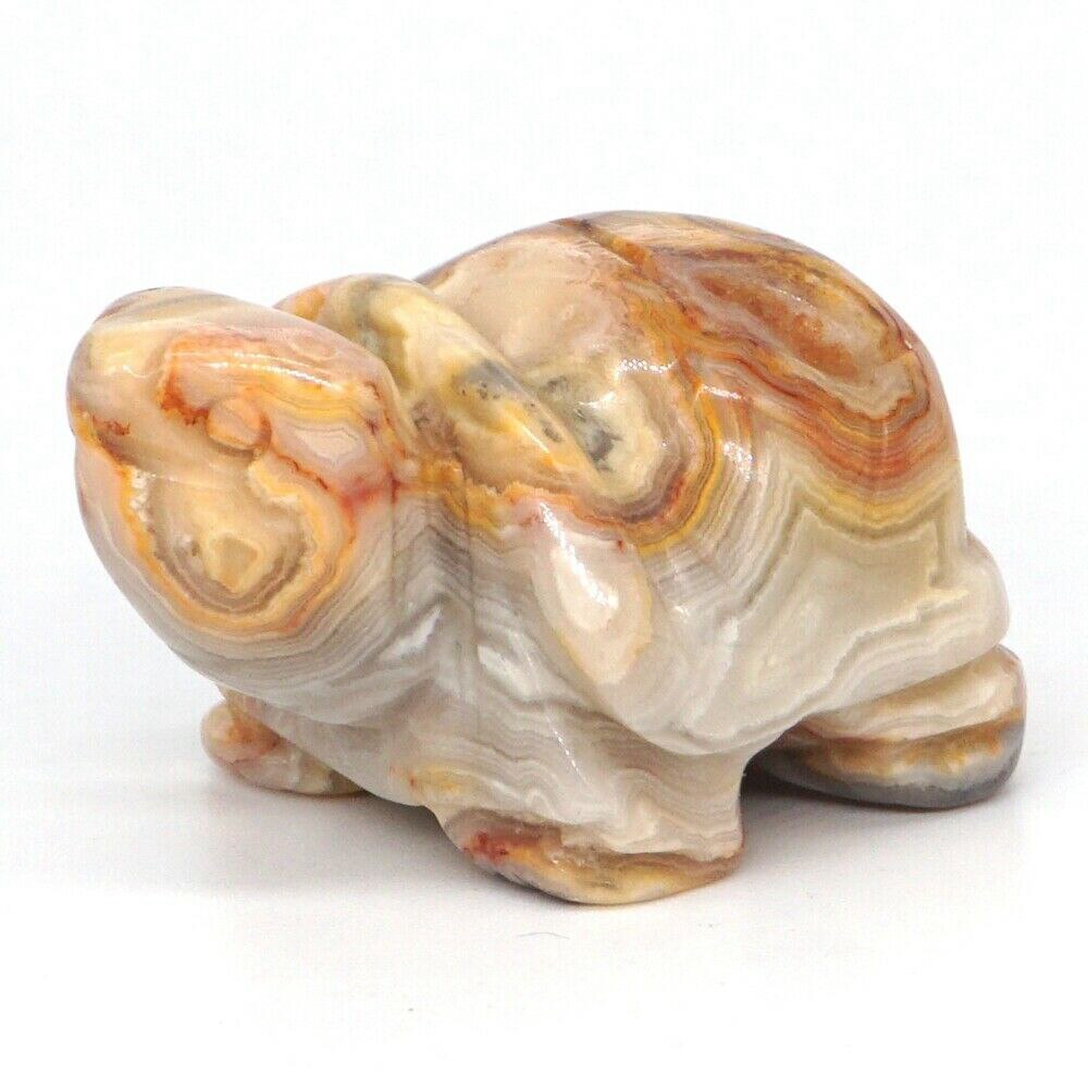 1.5&quot; Tortoise Statue Natural Gemstone Carving Healing Crystal Animals Figurines Reiki Stones Decoration Wholesale - Executive-Skincare