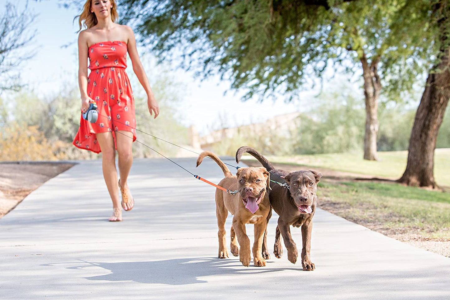 WIGZI (2 Two Dog Reflective Retractable Pet Leash – 360 Degree Zero Tangle Patent - Two Dogs Each up to 50 Lbs and 10Ft. Reflective Orange and Green Leads. Dual Locking, Small, Gray