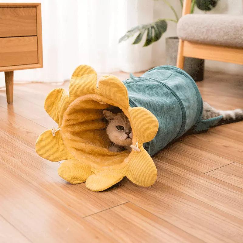 Creative Fruit Funny Pet Cat Tunnel Toys - Executive-Skincare