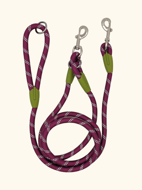 Reflective Nylon Dog Leashes - Executive-Skincare