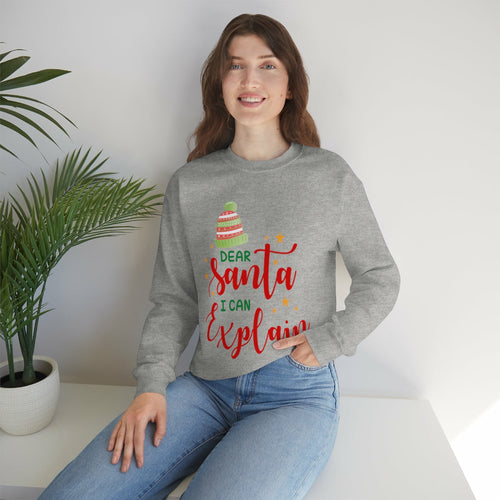 Womens Santa I Can Explain Sweatshirt - Executive-Skincare