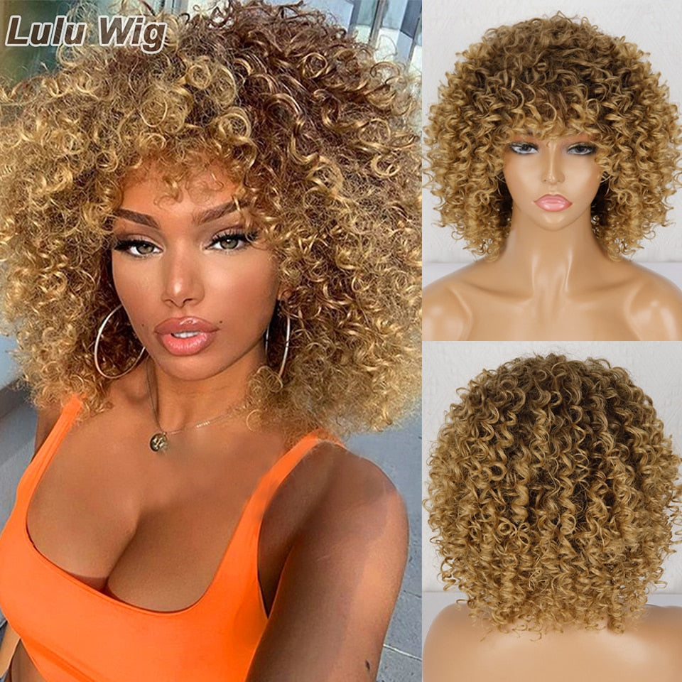 Afro Kinky Curly Wig - Executive-Skincare